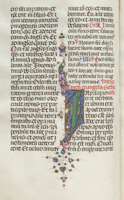Mszał: Fl. 22v: Liście z rybami, 1469. autorstwa Bartolomeo Caporali