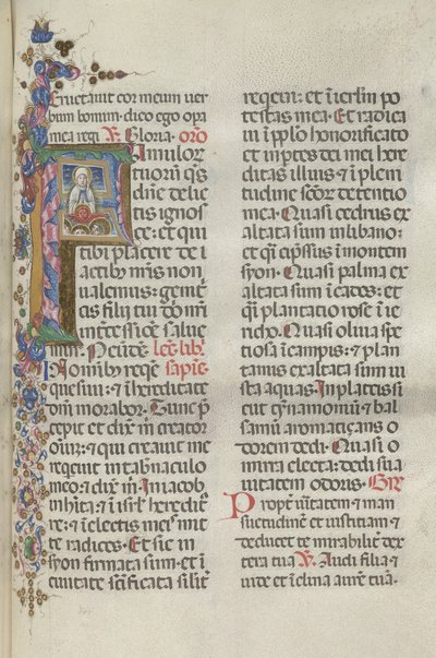 Mszał: Fl. 306: Wniebowzięcie Najświętszej Maryi Panny, 1469. autorstwa Bartolomeo Caporali
