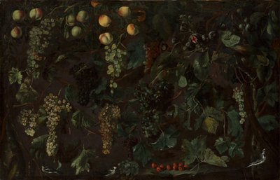 Winogrona i owoce, z trzema pliszkami, ca. 1615-18. autorstwa Bartolomeo Cavarozzi