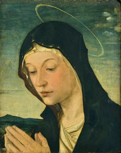 Głowa i ręce adorującej Madonny (fragment), ok. 1477-78 (tempera na drewnie topoli) autorstwa Bartolomeo Montagna