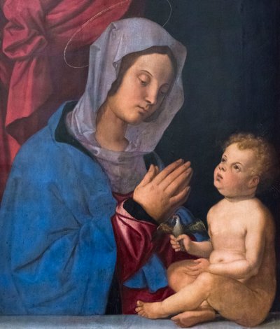 Madonna z Dzieciątkiem, ok. 1503 r. (olej na desce) autorstwa Bartolomeo Montagna