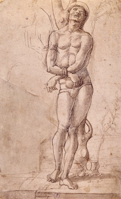 Święty Sebastian, ok. 1475, rysunek Bartolomeo Montagna (ok. 1450-1523), pióro i tusz brązowy, z brązowym praniem, cm 20x15, Włochy autorstwa Bartolomeo Montagna