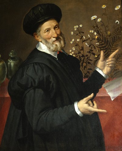 botanik autorstwa Bartolommeo Passerotti