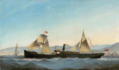 S.S. Glanrheidol autorstwa Basi Ivancovich