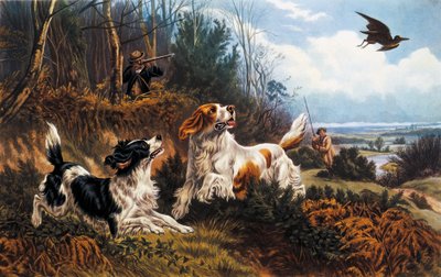 Polowanie na słonki autorstwa Basil Bradley