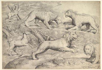 Sześć zwierząt, w tym lwy, tygrys, lampart, gryf i koza, ca. 1530-61. autorstwa Battista Franco Veneziano