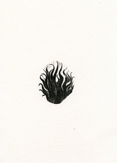 Ogień, 2017, (drewno na papierze) autorstwa Bella Larsson