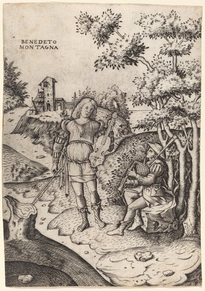 Apollo and Marsyas   1251075   pl       polish Successfully Translated  Original: Harmful insects: butterflies and moths that damage pine trees, 1897 Translat: Harmful insects: butterflies and moths that damage pine trees, 1897 1204161 pl polish Successful autorstwa Benedetto Montagna