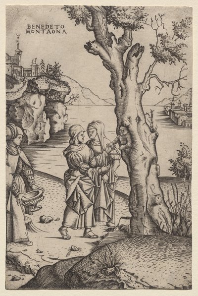 Narodziny Adonisa (z cyklu: Metamorfozy) autorstwa Benedetto Montagna