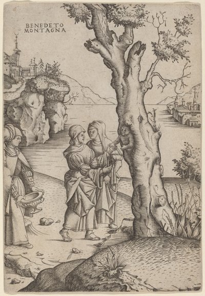 Narodziny Adonisa autorstwa Benedetto Montagna