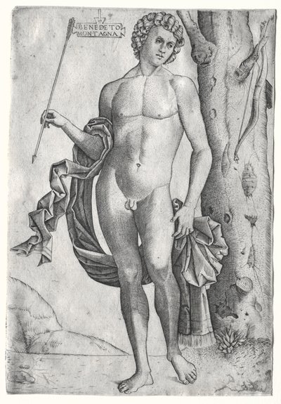 Człowiek ze strzałą, c. 1515. autorstwa Benedetto Montagna
