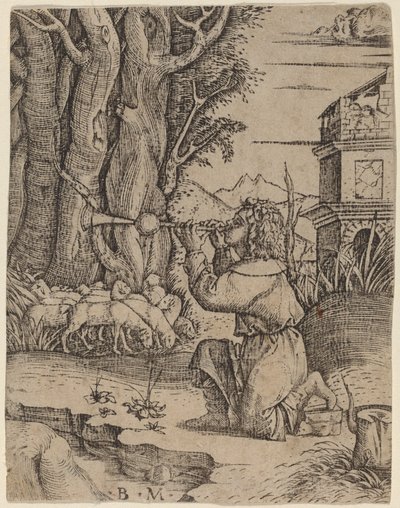 Pasterz z Platerspiel autorstwa Benedetto Montagna