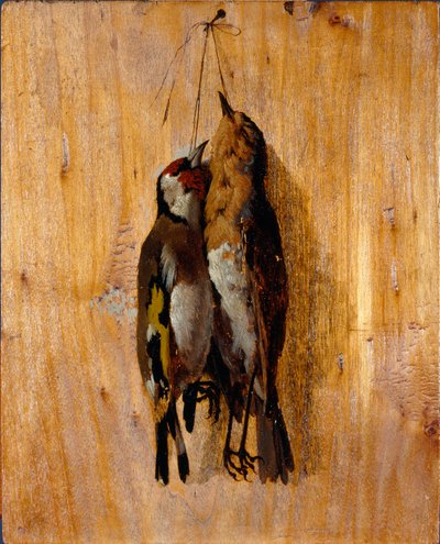 Studium po przyrodzie Dwie szpilki martwego ptaka na ścianie. Obraz Benedetto Musso (1835-1883) 1864 około Sun. 20,5x16,5 cm geny, Galleria d