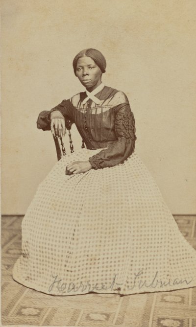 Portret Harriet Tubman, 1868-69 autorstwa Benjamin F. Powelson