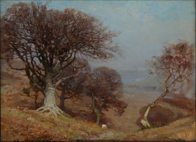 „Buki na Quantocks”, 1885-1924 autorstwa Benjamin Haughton