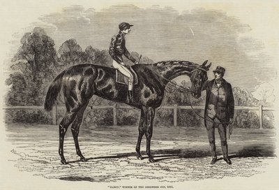Nancy, zwycięzca Goodwood Cup, 1851 autorstwa Benjamin Herring