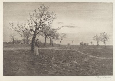 Poświata autorstwa Benjamin Lander