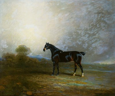 Bembo, ulubiony łowca Charlesa Shuttlewortha, Esq., 1802 autorstwa Benjamin Marshall