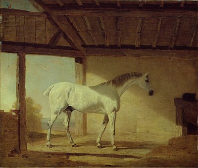 Earl of Coventry