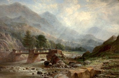 W pobliżu Beddgelert autorstwa Benjamin Shipham