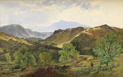 Moel Siabod - w Dolinie Skóry, 1871 autorstwa Benjamin Williams Leader