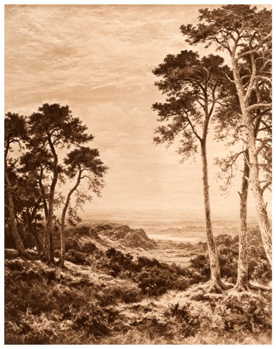 Zachód słońca po deszczu, 1903 autorstwa Benjamin Williams Leader