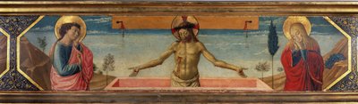 Nieznany obraz autorstwa Benozzo di Lese di Sandro Gozzoli