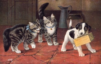 Pocztówka z kotem (kolorowa litografia) autorstwa Bernard Cobbe