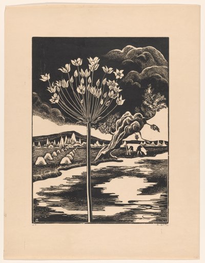 Kwiat łabędzia w krajobrazie autorstwa Bernard Essers (signed by artist)