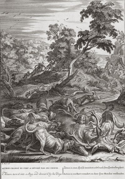 Akteon zamieniony w Jelenia i pożarty przez jego psy, 1731 autorstwa Bernard Picart
