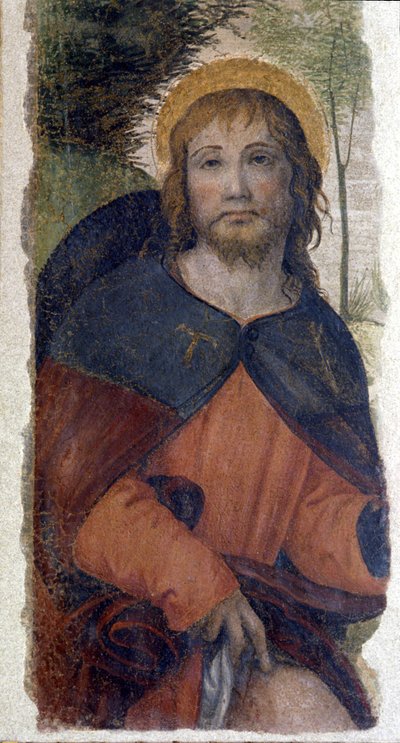 Reprezentacja św. Rocco (Roch). Fresk szkoły Bernardino de Scapis znanej jako Bernardino Luini (1485-1532). 16 wiek autorstwa Bernardino (school of) Luini