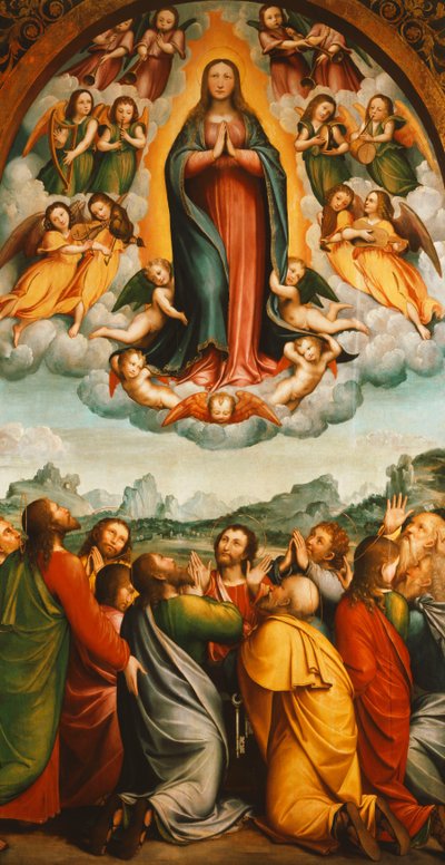 Wniebowzięcie Najświętszej Maryi Panny autorstwa Bernardino Ferrari