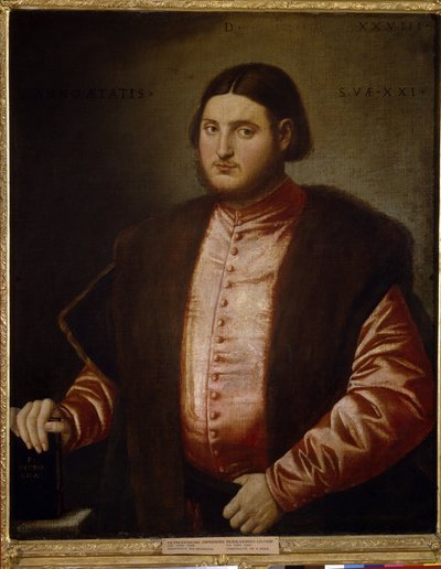 Portret mężczyzny (Portret mężczyzny). Obraz Bernardino Licinio (ok. 1489-ok. 1565), olej na płótnie autorstwa Bernardino Licinio