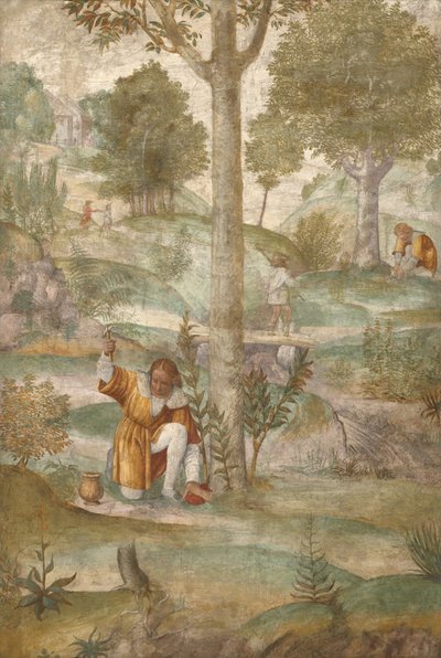 Kefalos ukrywający klejnoty autorstwa Bernardino Luini