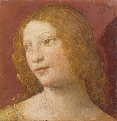 Głowa młodej kobiety autorstwa Bernardino Luini