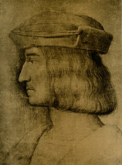 Portret męski autorstwa Bernardino Luini