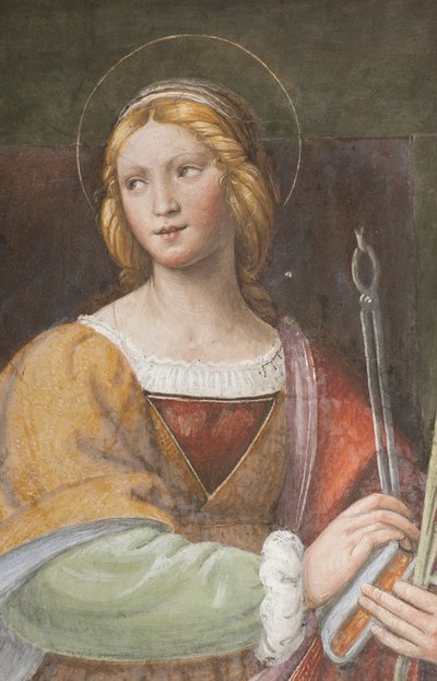 Święta Apollonia, c.1522-25 (detal 3497192) autorstwa Bernardino Luini