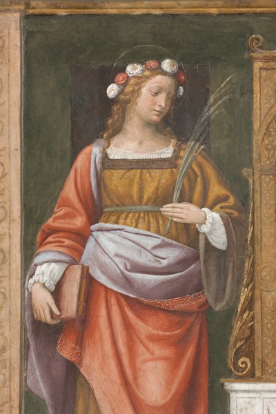 Święta Róża (fresk) (detal 3497195) autorstwa Bernardino Luini