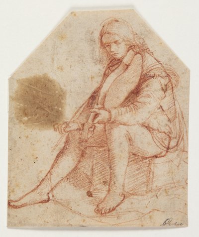 Siedząca młodzież z altówką autorstwa Bernardino Luini