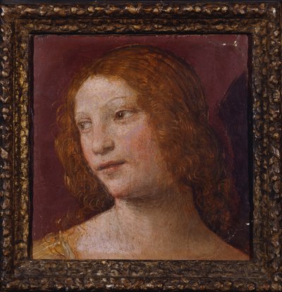 Głowa Anioła - fragment autorstwa Bernardino Luini