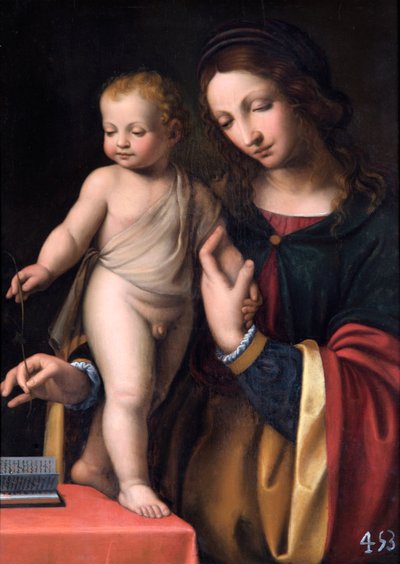 Matka Boska ze Stojącym Dzieciątkiem (olej na topoli) autorstwa Bernardino Luini