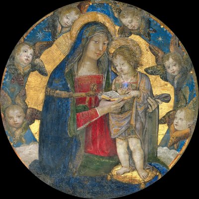 Madonna z Dzieciątkiem z Cherubinami, 1492-1495. autorstwa Bernardino Pinturicchio