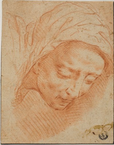 Głowa kobiety autorstwa Bernardino Poccetti