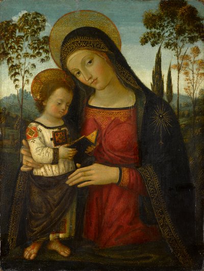 Madonna z Dzieciątkiem, ok. 1490-1495 (tempera na desce) autorstwa Bernardino di Betto Pinturicchio