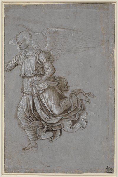 Studium latającego anioła autorstwa Bernardino di Betto Pinturicchio