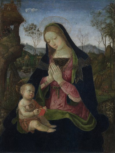 Dziewica z Dzieciątkiem, ok. 1490-1500 (tempera i olej na drewnie) autorstwa Bernardino di Betto Pinturicchio