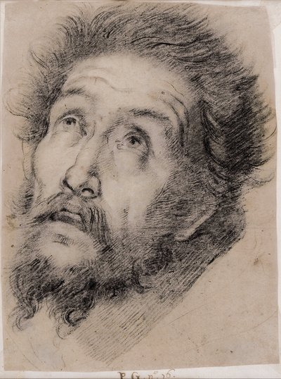 Franciszka z Asyżu adorującego krzyż autorstwa Bernardo Strozzi