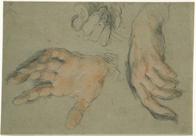 Studium trzech rąk, 1625-30 (czarna i czerwona kreda na papierze) autorstwa Bernardo Strozzi