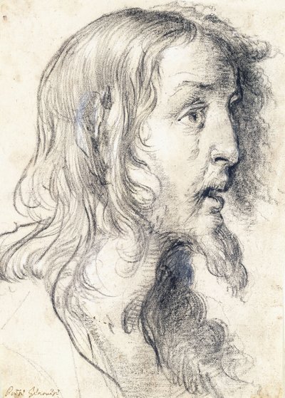 Głowa Chrystusa z profilu po prawej stronie, autorstwa Bernardo Strozzi
