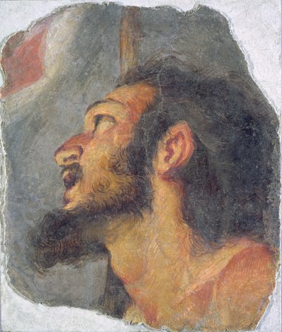 Głowa św. Jana Chrzciciela, fragment fresku autorstwa Bernardo Strozzi
